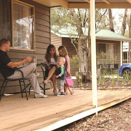 Bendigo Bush Cabins Εξωτερικό φωτογραφία